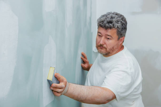 Mold Odor Removal Services in Burlington, IA